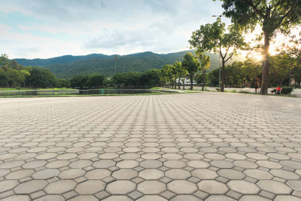 Best Permeable Paver Driveway  in Waldo, AR
