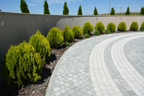 Reasons to Select Us for Your Driveway Paving Requirements in Waldo, AR